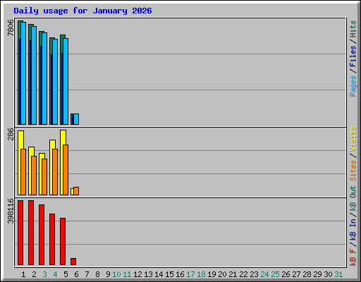 Daily usage for January 2026