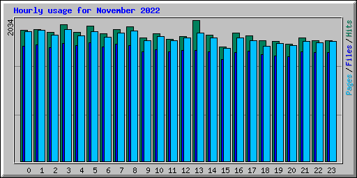 Hourly usage for November 2022