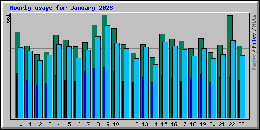 Hourly usage for January 2023