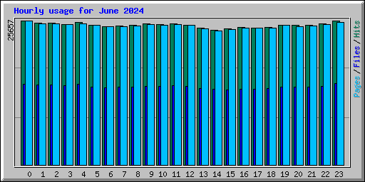 Hourly usage for June 2024