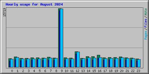 Hourly usage for August 2024