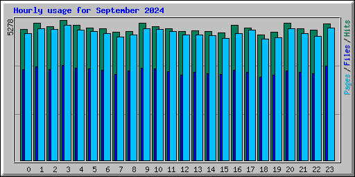 Hourly usage for September 2024