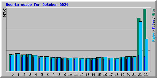 Hourly usage for October 2024