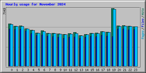 Hourly usage for November 2024