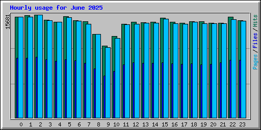Hourly usage for June 2025