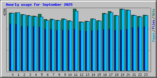 Hourly usage for September 2025