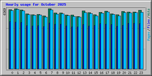 Hourly usage for October 2025