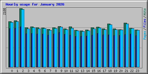 Hourly usage for January 2026