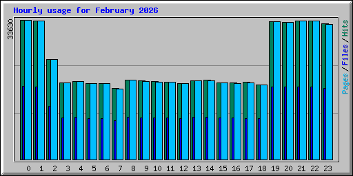 Hourly usage for February 2026