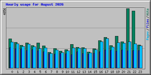 Hourly usage for August 2026